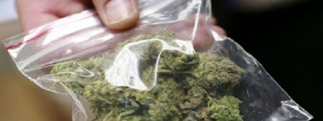 Orgosolo: Sei giovani denunciati per Marijuana