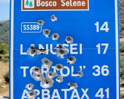 Omicidio a Gairo: Ucciso allevatore di 32 anni con una fucilata al viso