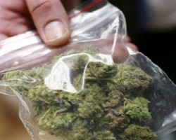 Orgosolo: Sei giovani denunciati per Marijuana