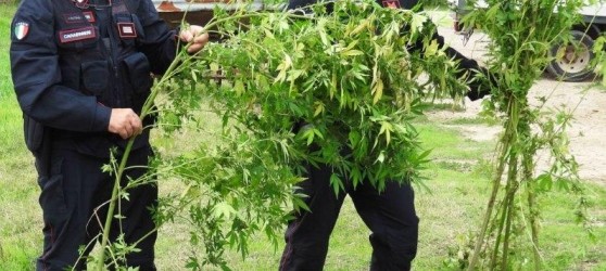 Arrestati 4 sardi di origine barbaricina in un operazione antidroga a Grosseto in Toscana