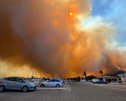 Incendio a Posada, Siniscola, San Giovanni, Monte Longu #Sardegna